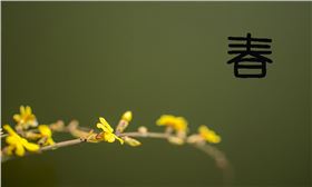 18d8bc3eb13533fa5c3960fba3d3fd1f40345b5c.jpg 18d8bc3eb13533fa5c3960fba3d3fd1f40345b5c.jpg