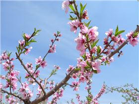 7281029_7281029_1302511851765_mthumb.jpg 7281029_7281029_1302511851765_mthumb.jpg