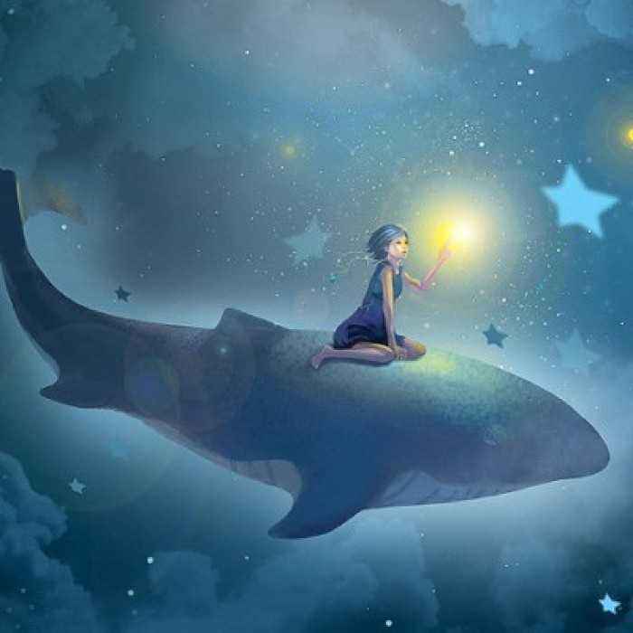 timg (1).jpg timg (1).jpg