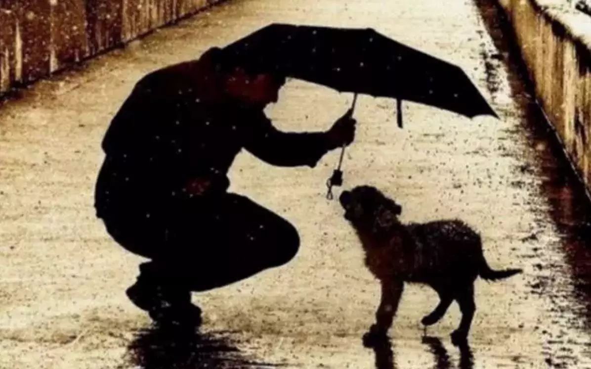 6dc0fae793384d7281fa42390063a026.jpeg 6dc0fae793384d7281fa42390063a026.jpeg