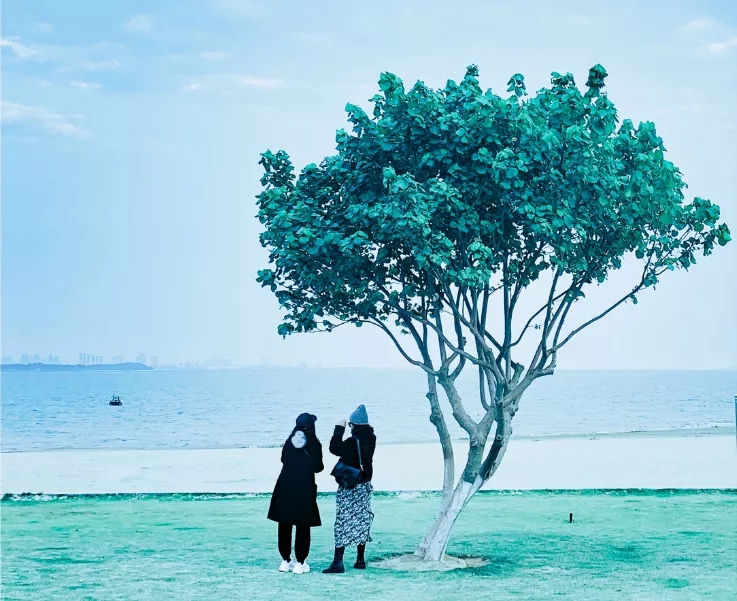 640.webp.jpg 640.webp.jpg